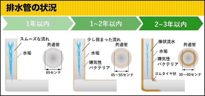 排水管の状況